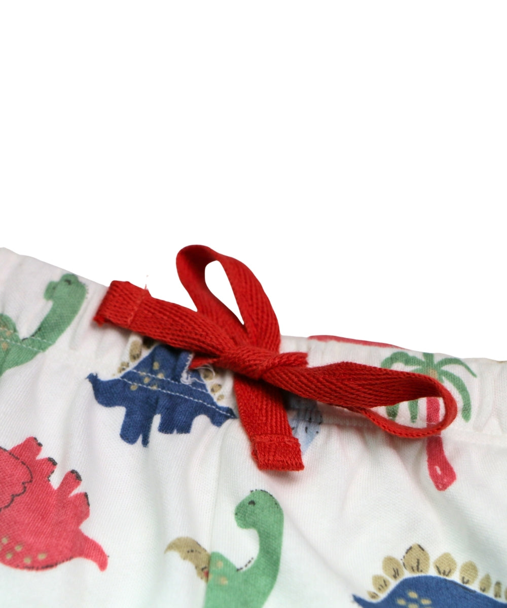 Dino Adventure Print Co-ord Set – Full Sleeve T-Shirt & Pants Outfit for Toddlers