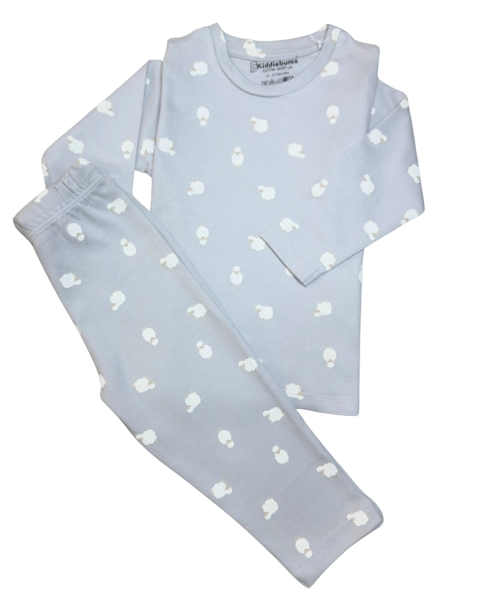 Cuddly Lambs Unisex Co-ord Set – Full Sleeve T-Shirt and Pants | 100% Cotton | 9M–5Y - Twining Outfit available