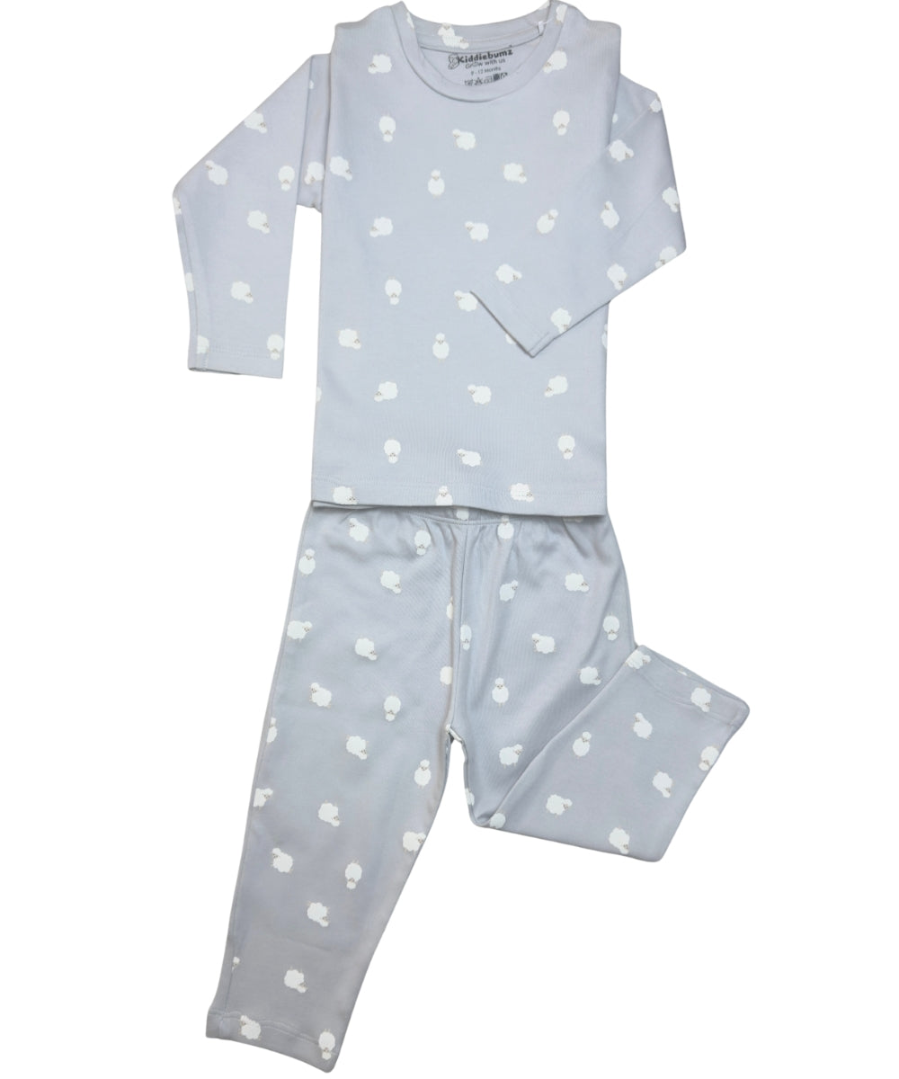 Cuddly Lambs Unisex Co-ord Set – Full Sleeve T-Shirt and Pants | 100% Cotton | 9M–5Y - Twining Outfit available