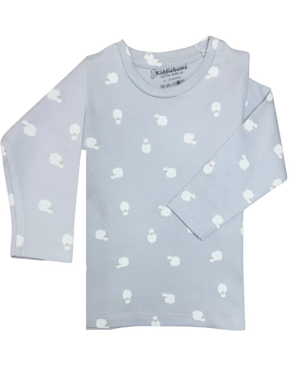 Cuddly Lambs Unisex Co-ord Set – Full Sleeve T-Shirt and Pants | 100% Cotton | 9M–5Y - Twining Outfit available