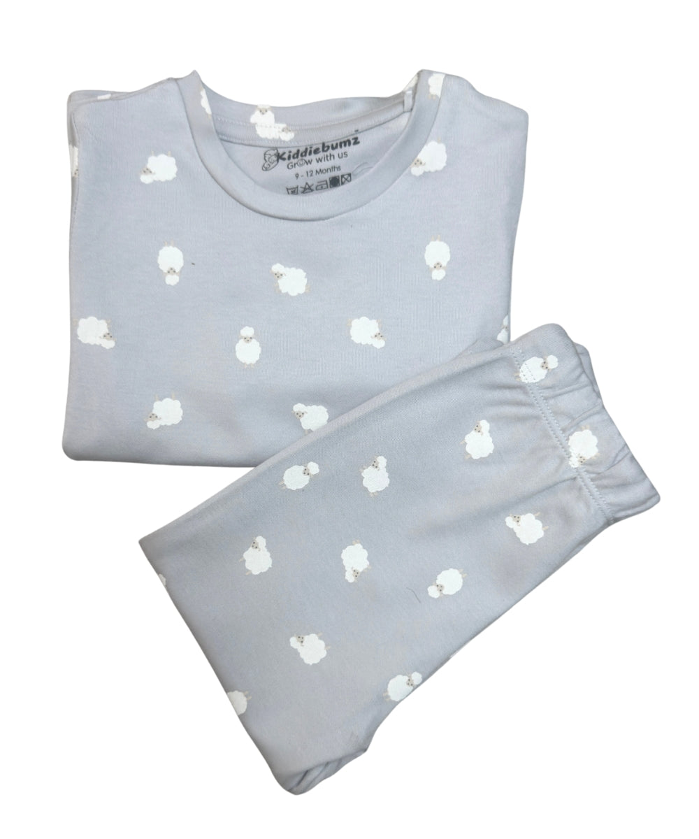 Cuddly Lambs Unisex Co-ord Set – Full Sleeve T-Shirt and Pants | 100% Cotton | 9M–5Y - Twining Outfit available