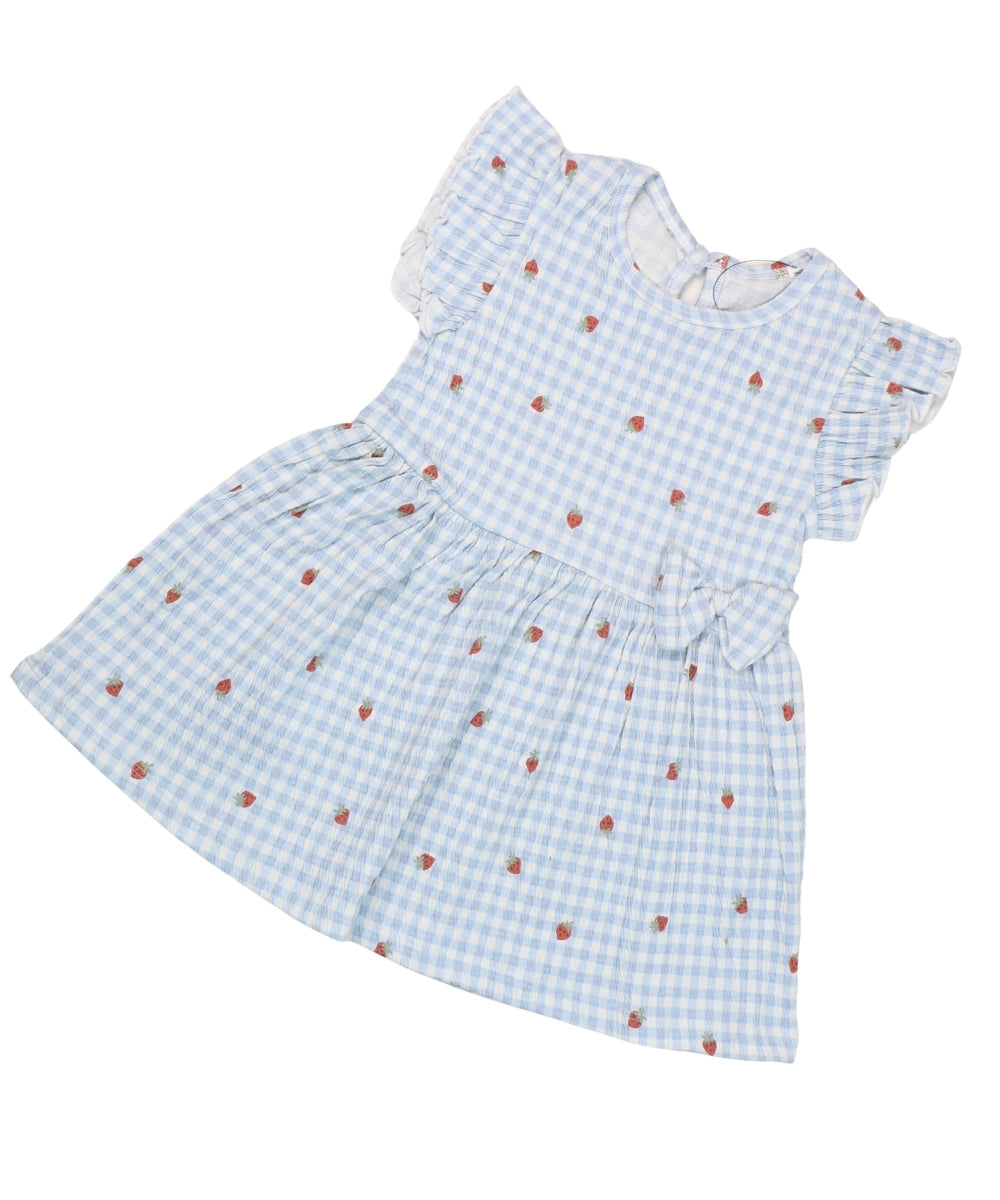 Berry Checks - Mild Blue Checks with Strawberry Print – 100% Cotton Baby Girl Frock – Toddler Summer Frill Sleeve Dress