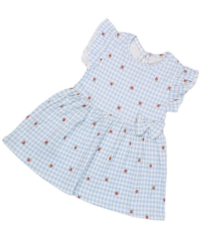 Berry Checks - Mild Blue Checks with Strawberry Print – 100% Cotton Baby Girl Frock – Toddler Summer Frill Sleeve Dress