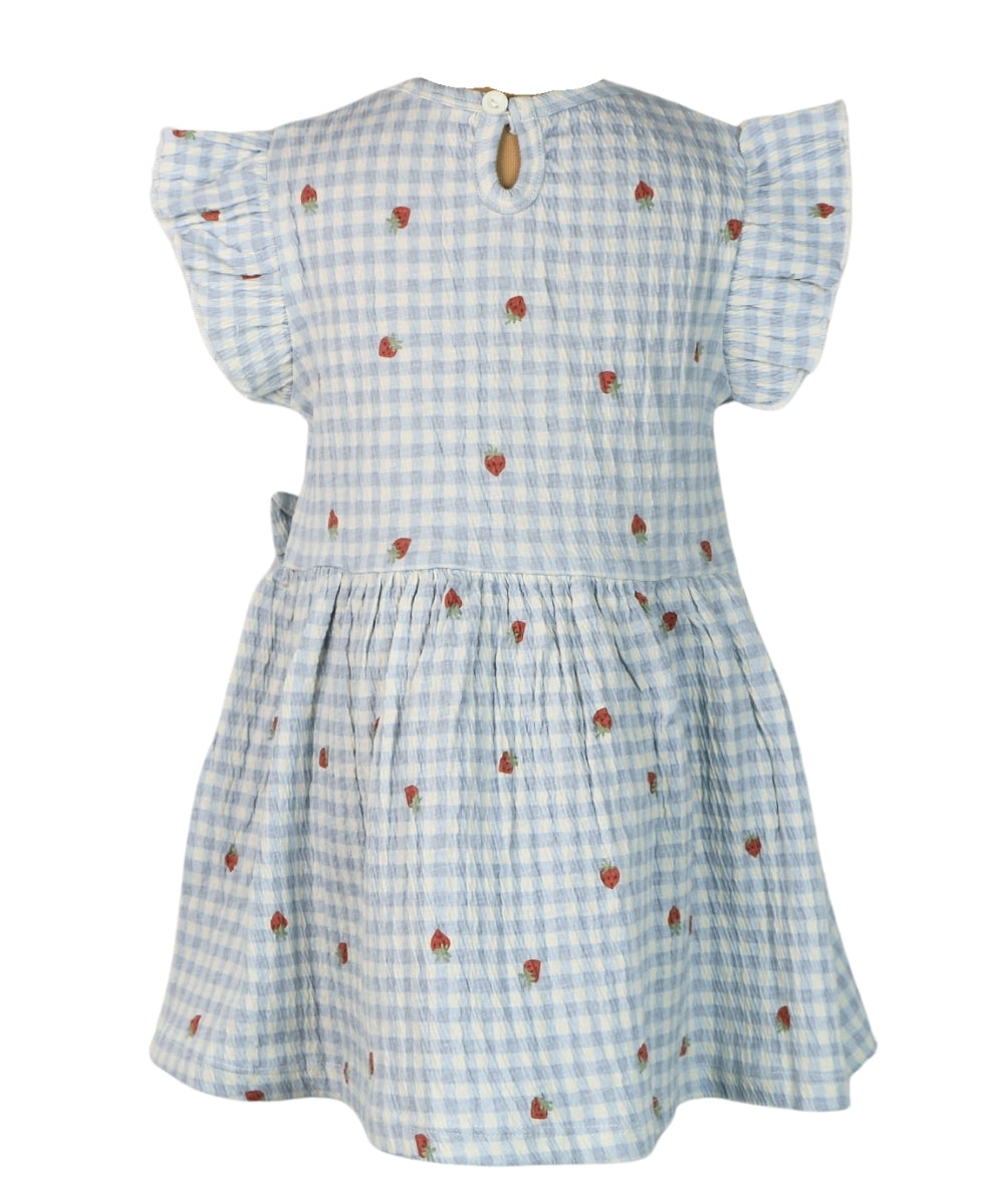 Berry Checks - Mild Blue Checks with Strawberry Print – 100% Cotton Baby Girl Frock – Toddler Summer Frill Sleeve Dress